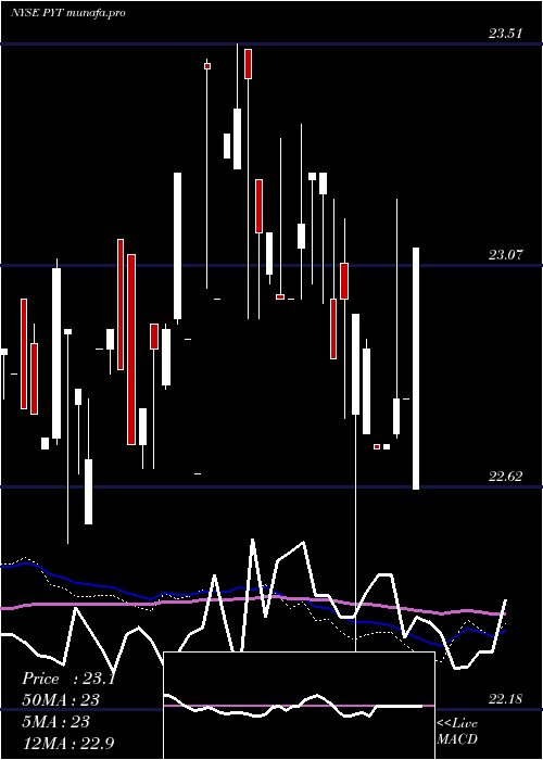  weekly chart PplusTrust