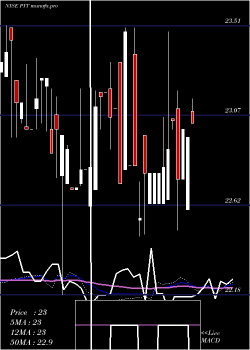 weekly chart PplusTrust
