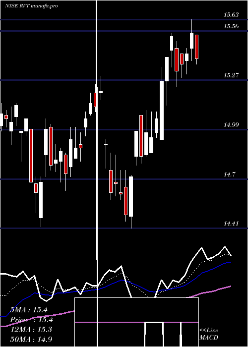  Daily chart RoyceValue