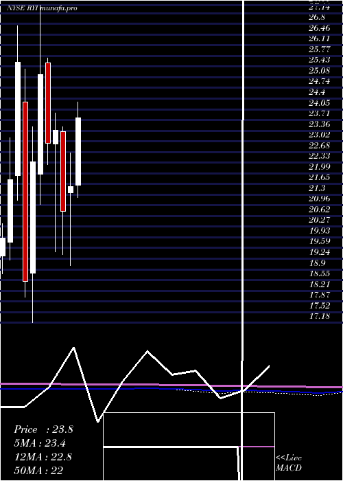 monthly chart RyersonHolding