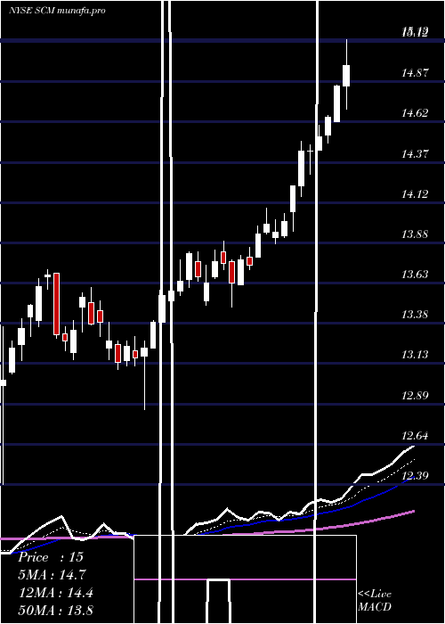  Daily chart StellusCapital