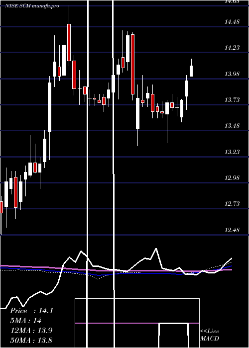  weekly chart StellusCapital