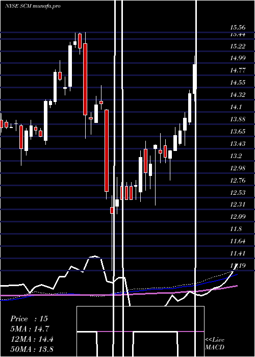 weekly chart StellusCapital