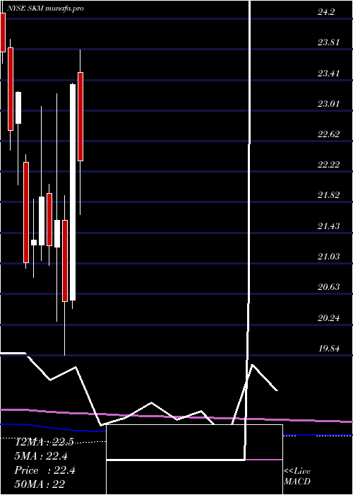 monthly chart SkTelecom