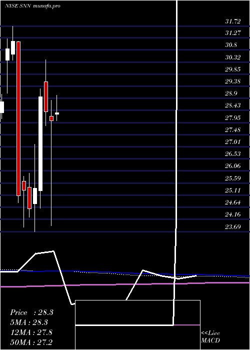 monthly chart SmithNephew
