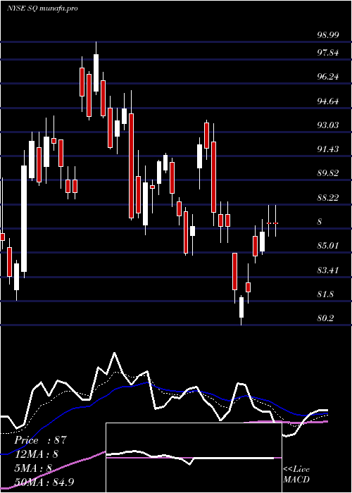  Daily chart SquareInc