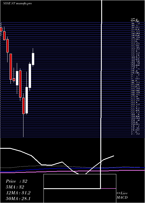 monthly chart SensataTechnologies