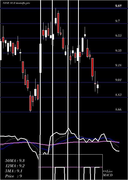 Daily chart SuzanoPapel