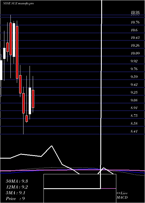 monthly chart SuzanoPapel