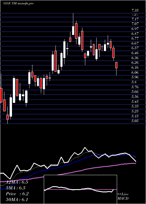 Daily chart TrueblueInc