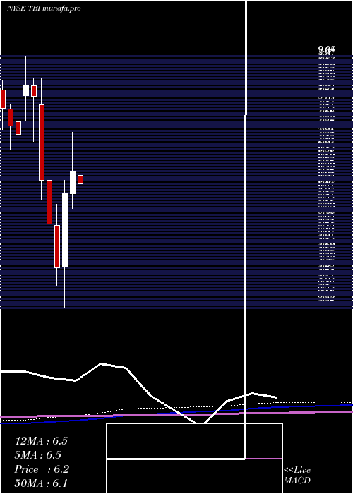 monthly chart TrueblueInc
