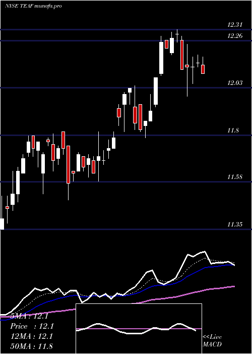 Daily chart TortoiseEssential