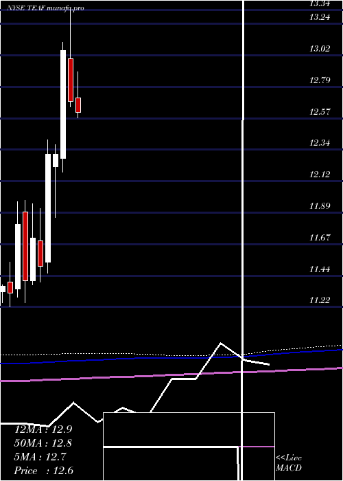  monthly chart TortoiseEssential