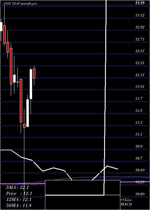monthly chart TortoiseEssential