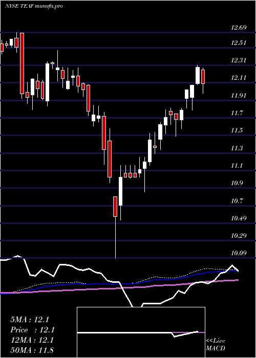 weekly chart TortoiseEssential