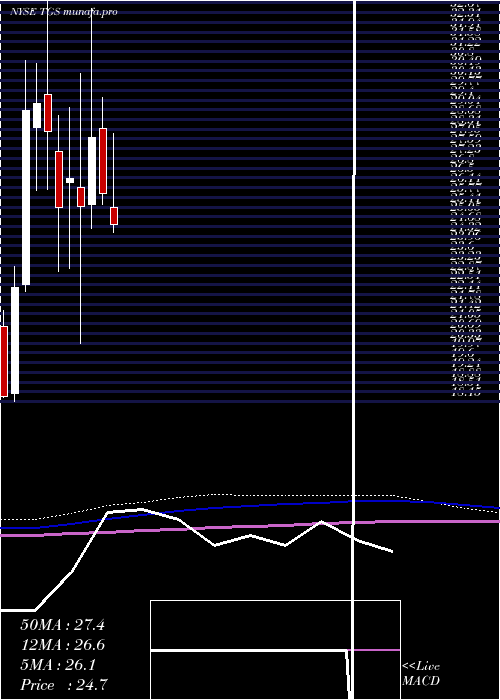 monthly chart TransportadoraDe