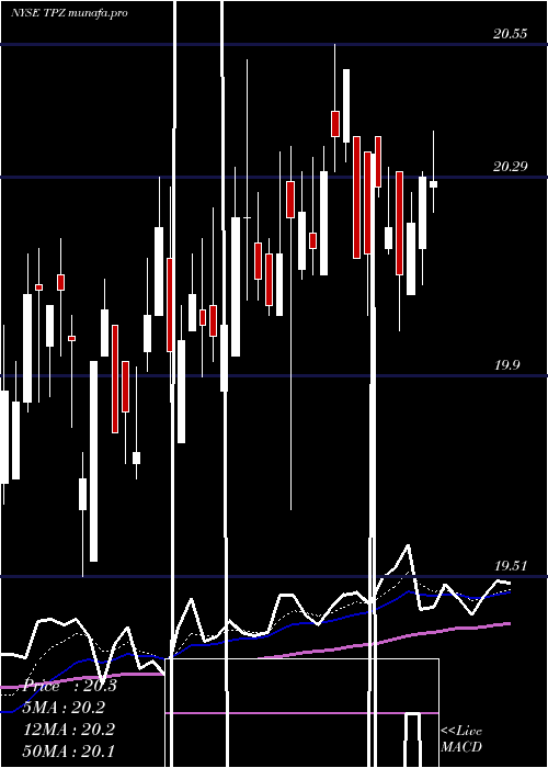  Daily chart TortoisePower