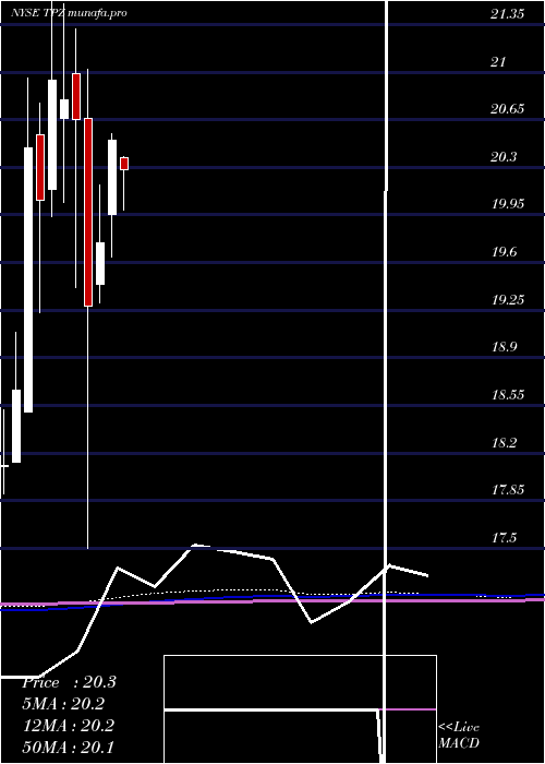 monthly chart TortoisePower