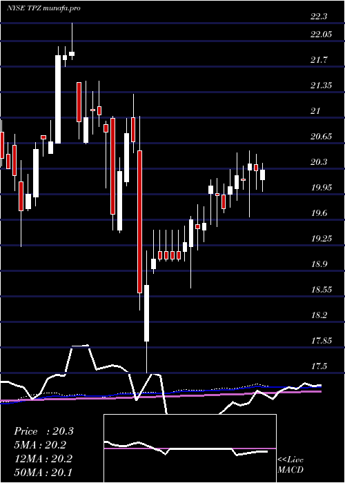 weekly chart TortoisePower