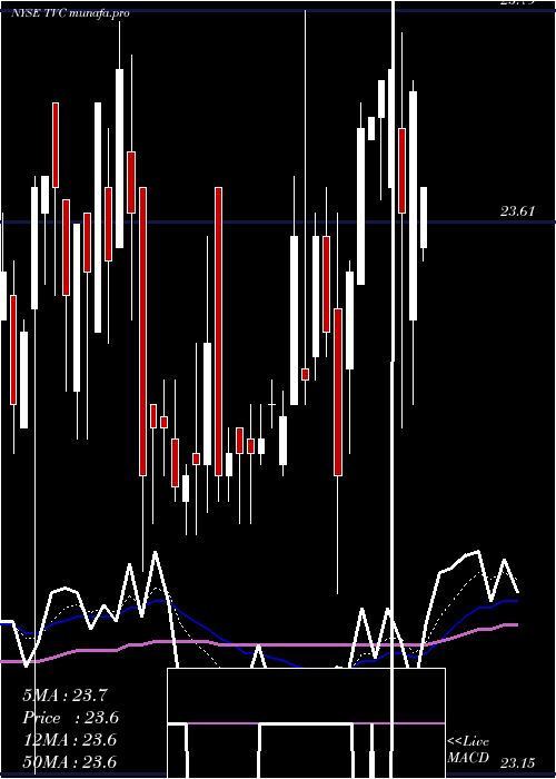Daily chart TennesseeValley