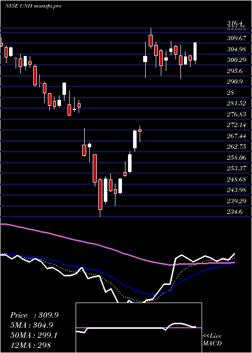  Daily chart UnitedhealthGroup