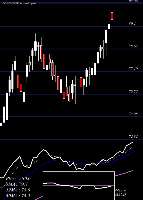  Daily chart UsFoods