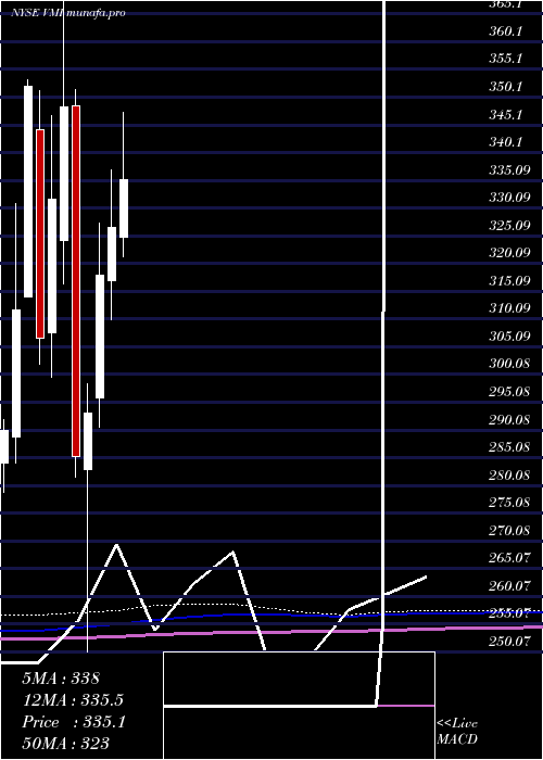 monthly chart ValmontIndustries