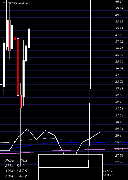 monthly chart VontierCorp