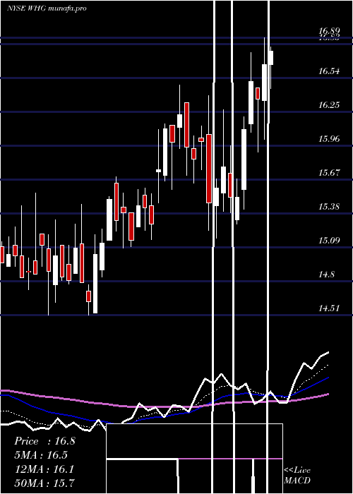  Daily chart WestwoodHoldings