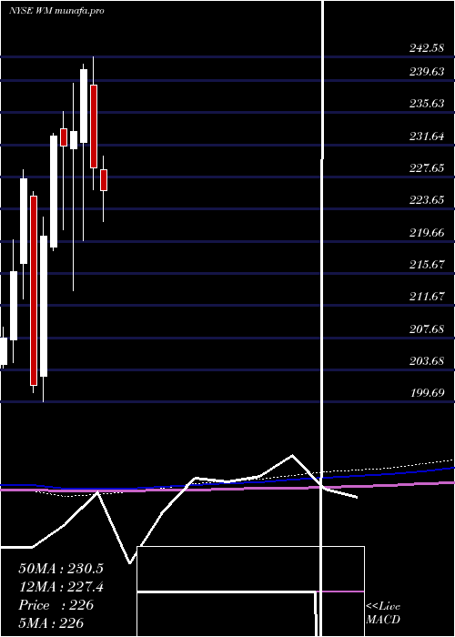 monthly chart WasteManagement