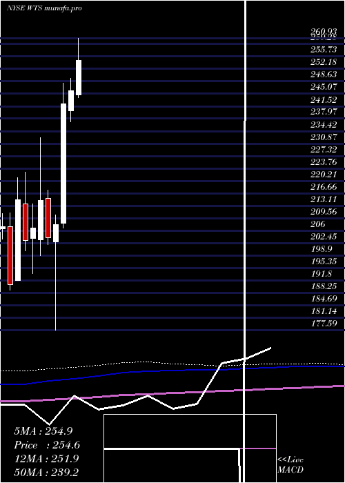  monthly chart WattsWater