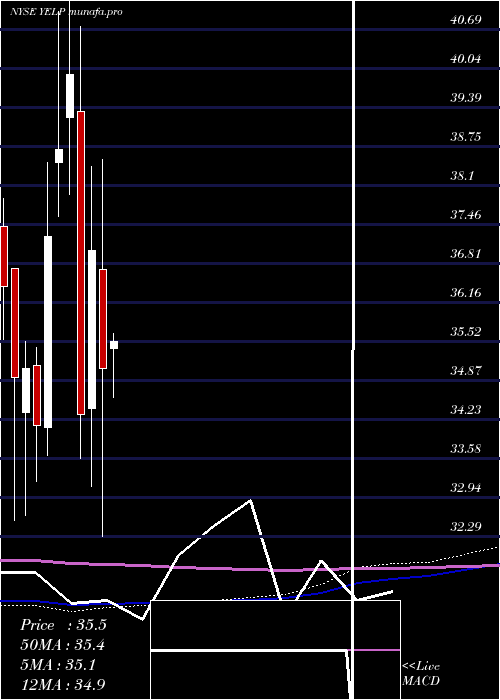 monthly chart YelpInc