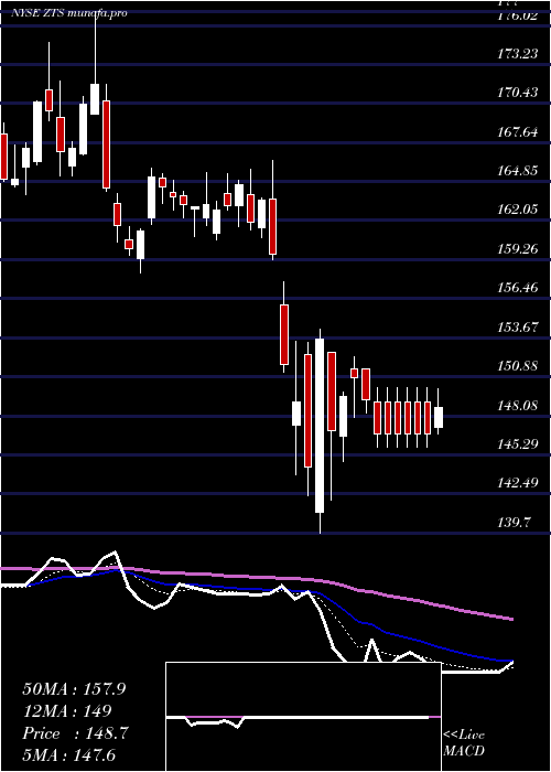  Daily chart ZoetisInc