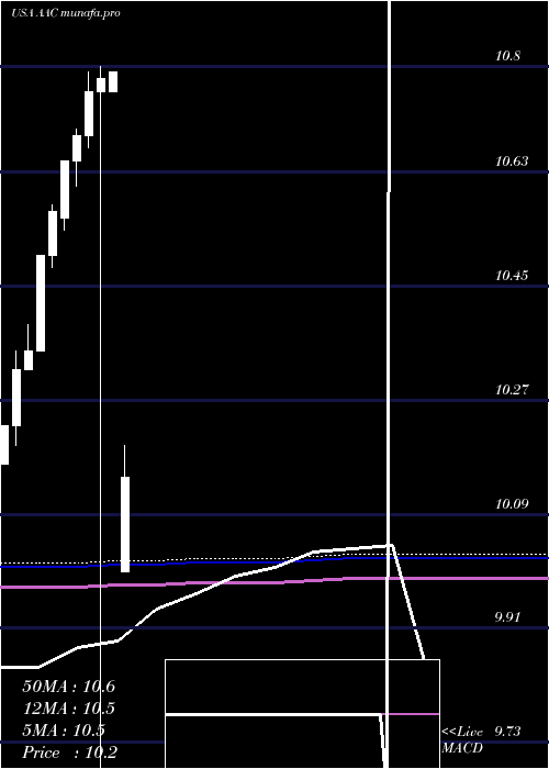  monthly chart AacHoldings