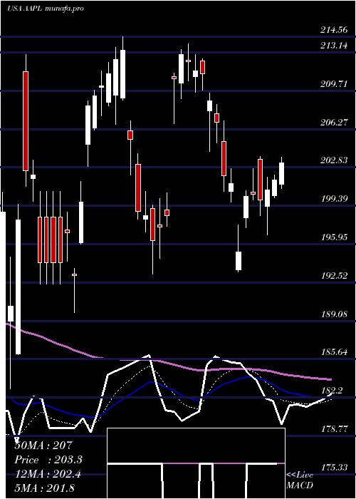 Daily chart AppleInc
