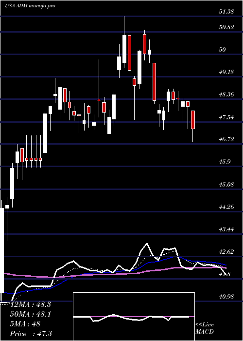  Daily chart ArcherDaniels