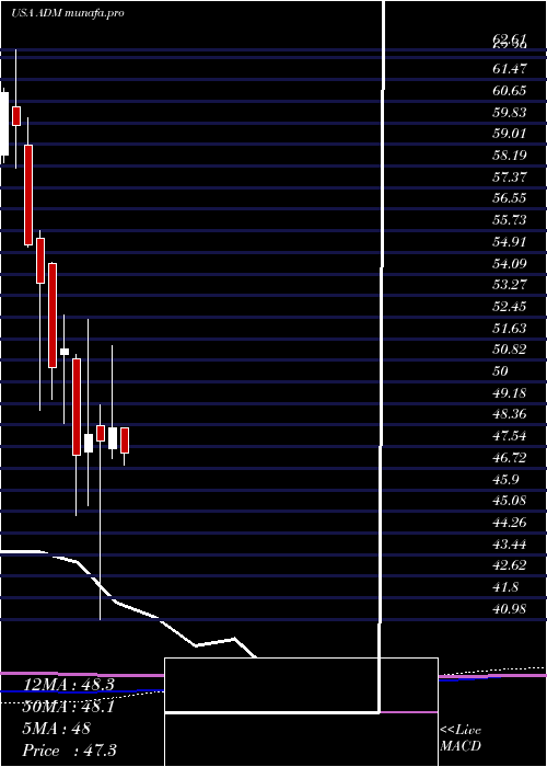  monthly chart ArcherDaniels