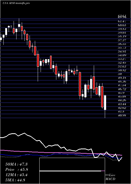  weekly chart ArcherDaniels