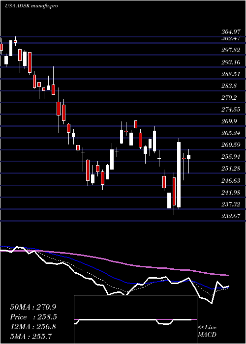  Daily chart AutodeskInc