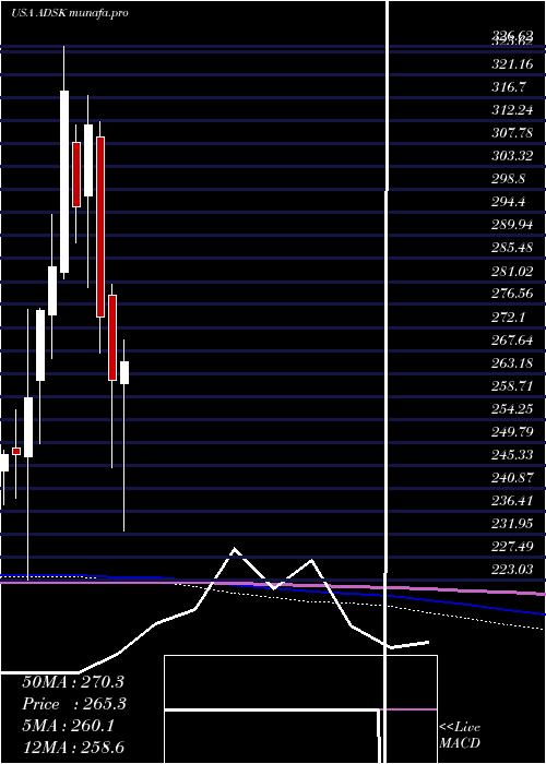  monthly chart AutodeskInc