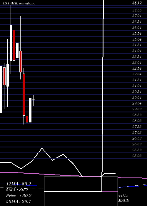 monthly chart AmalgamatedBank