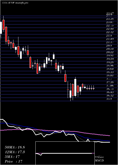  Daily chart AviatNetworks