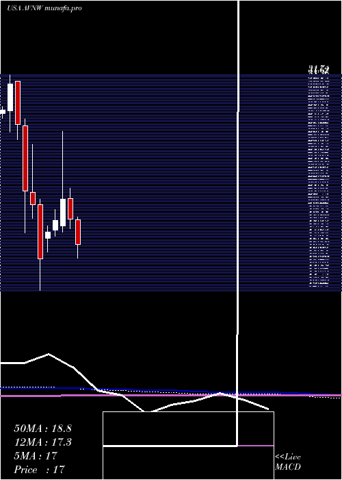  monthly chart AviatNetworks