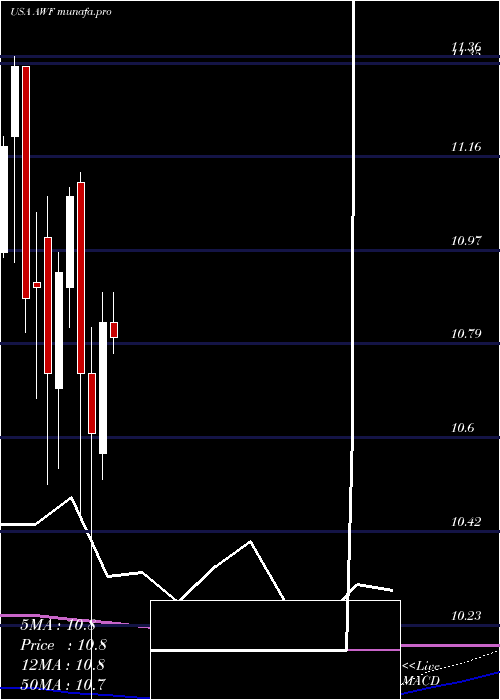 monthly chart AllianceWorld