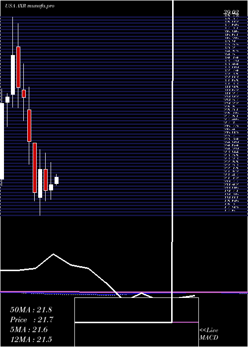 monthly chart AmrepCorporation
