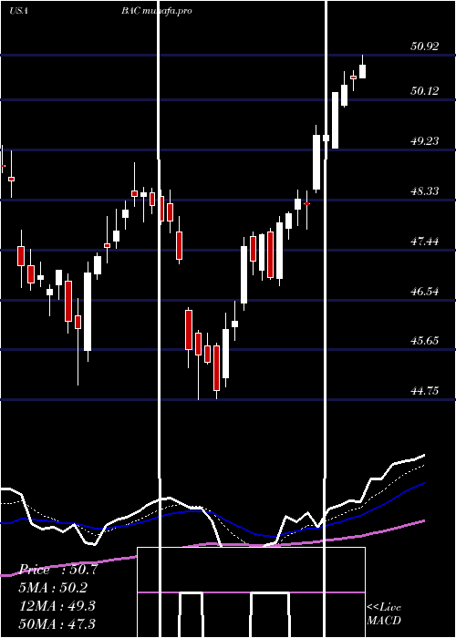 Daily chart BankAmerica