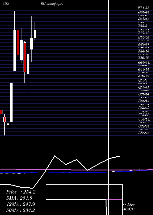  monthly chart BiglariHoldings
