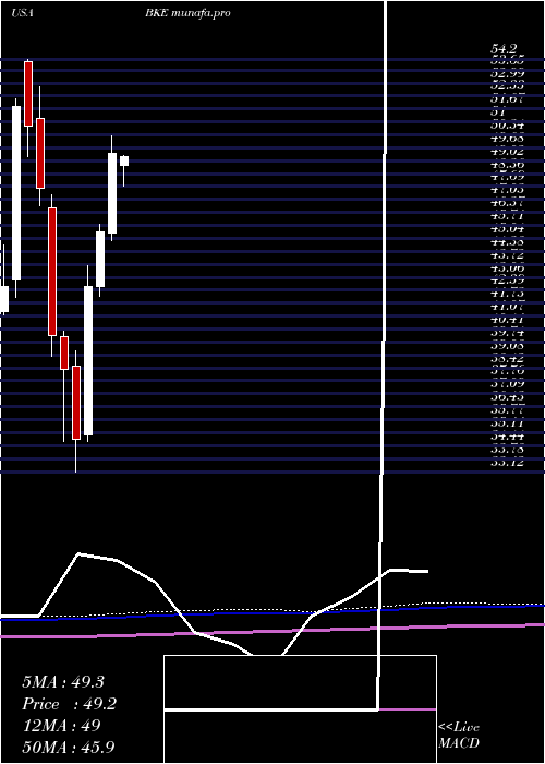  monthly chart BuckleInc