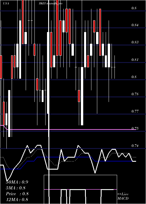  Daily chart BioKey