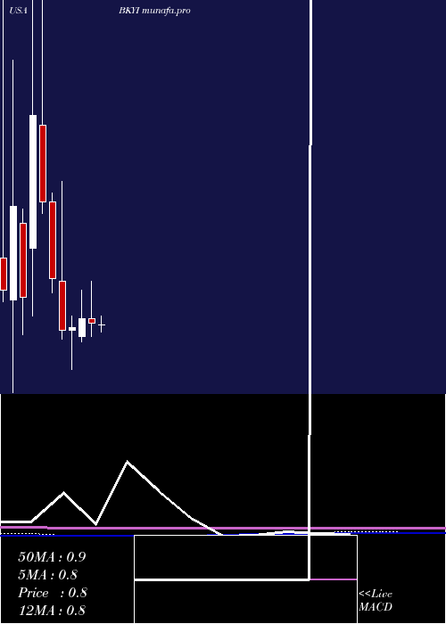 monthly chart BioKey